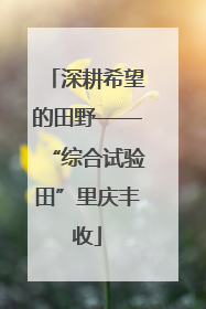 深耕希望的田野——“综合试验田”里庆丰收