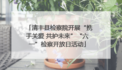 清丰县检察院开展“携手关爱 共护未来”“六一”检察开放日活动