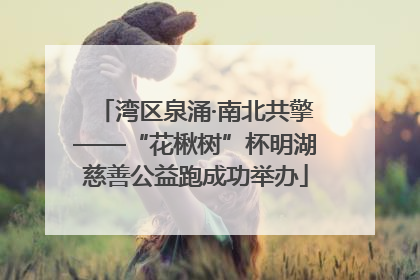 湾区泉涌·南北共擎——“花楸树”杯明湖慈善公益跑成功举办