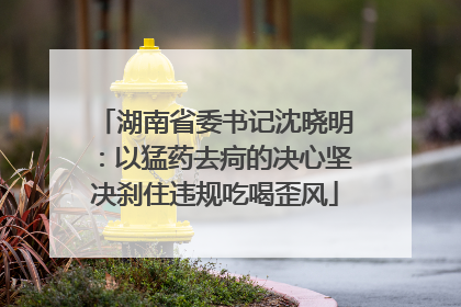 湖南省委书记沈晓明：以猛药去疴的决心坚决刹住违规吃喝歪风