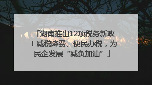 湖南推出12项税务新政！减税降费、便民办税，为民企发展“减负加油”