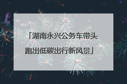 湖南永兴公务车带头跑出低碳出行新风景