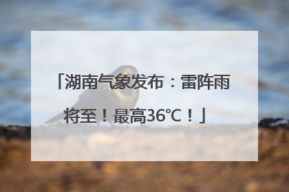湖南气象发布：雷阵雨将至！最高36℃！