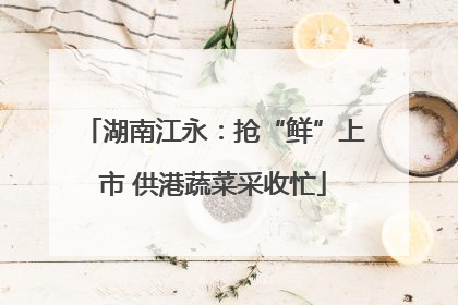 湖南江永：抢“鲜”上市 供港蔬菜采收忙
