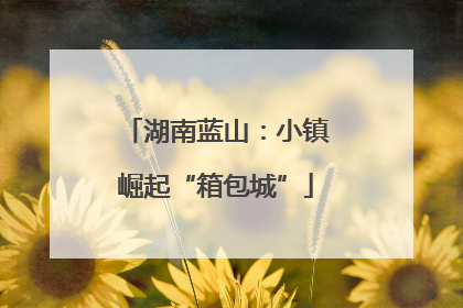 湖南蓝山：小镇崛起“箱包城”