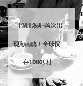 湖北秭归首次出现海南鳽！全球仅存1000只
