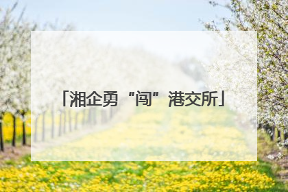 湘企勇“闯”港交所