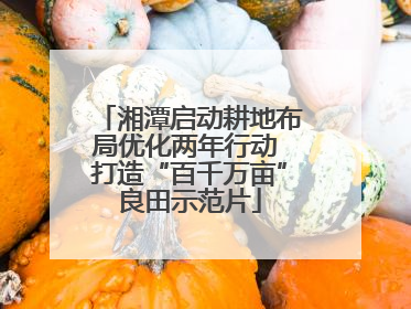 湘潭启动耕地布局优化两年行动 打造“百千万亩”良田示范片