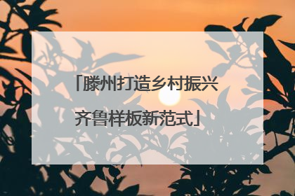 滕州打造乡村振兴齐鲁样板新范式