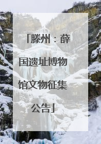滕州：薛国遗址博物馆文物征集公告