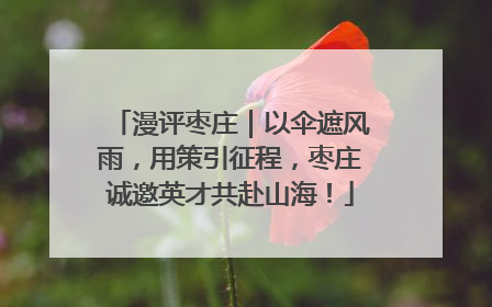 漫评枣庄｜以伞遮风雨，用策引征程，枣庄诚邀英才共赴山海！