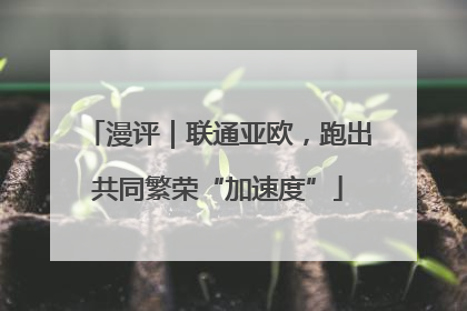 漫评｜联通亚欧，跑出共同繁荣“加速度”