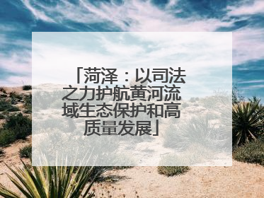 菏泽：以司法之力护航黄河流域生态保护和高质量发展