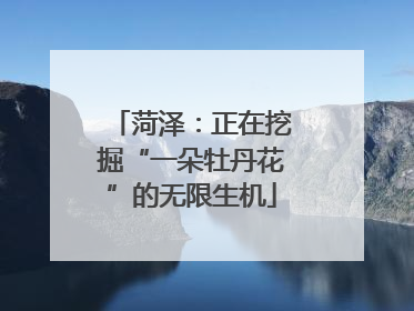 菏泽：正在挖掘“一朵牡丹花”的无限生机