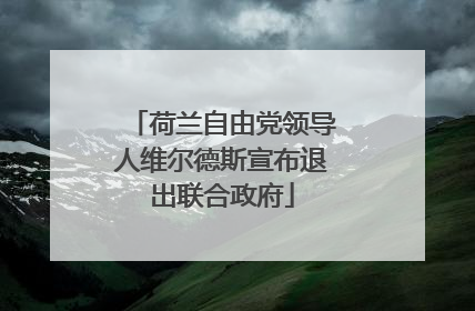 荷兰自由党领导人维尔德斯宣布退出联合政府