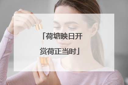 荷塘映日开 赏荷正当时