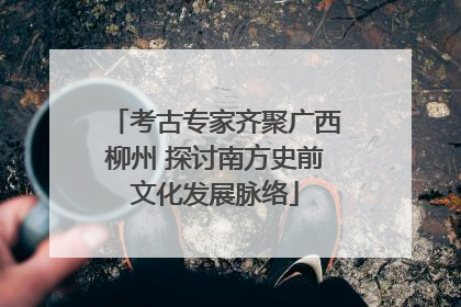 考古专家齐聚广西柳州 探讨南方史前文化发展脉络