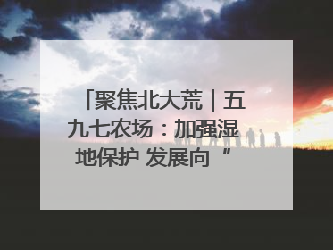 聚焦北大荒｜五九七农场：加强湿地保护 发展向“绿”而行