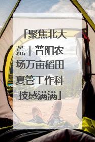 聚焦北大荒｜普阳农场万亩稻田夏管工作科技感满满