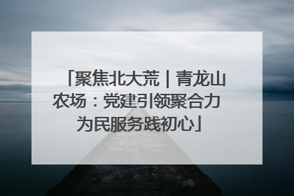 聚焦北大荒｜青龙山农场：党建引领聚合力 为民服务践初心