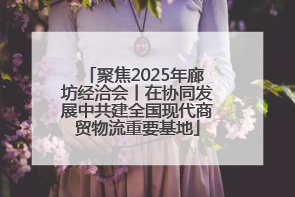 聚焦2025年廊坊经洽会丨在协同发展中共建全国现代商贸物流重要基地