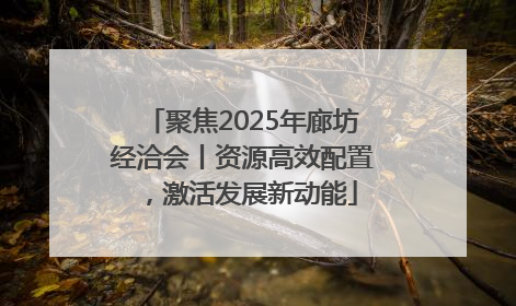 聚焦2025年廊坊经洽会丨资源高效配置，激活发展新动能