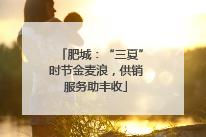 肥城：“三夏”时节金麦浪，供销服务助丰收