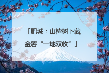 肥城：山楂树下藏金薯“一地双收”