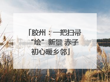胶州：一把扫帚“绘”新景 赤子初心暖乡邻