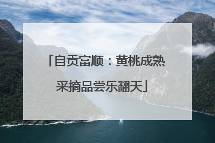 自贡富顺：黄桃成熟 采摘品尝乐翻天