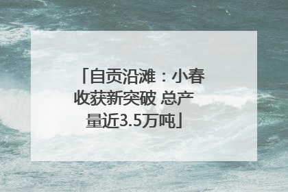 自贡沿滩：小春收获新突破 总产量近3.5万吨