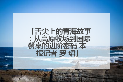 舌尖上的青海故事：从高原牧场到国际餐桌的进阶密码 本报记者 罗 珺