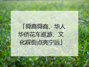 舜裔舜商、华人华侨花车巡游、文化踩街点亮宁远