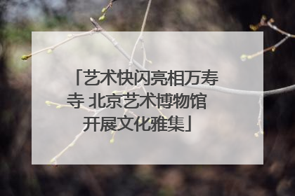 艺术快闪亮相万寿寺 北京艺术博物馆开展文化雅集