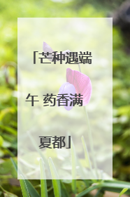 芒种遇端午 药香满夏都