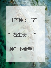 芒种：“芒”着生长，“种”下希望