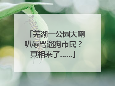 芜湖一公园大喇叭辱骂遛狗市民？真相来了……