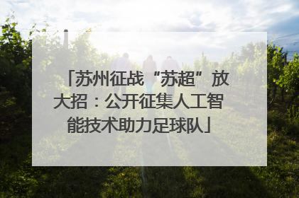 苏州征战“苏超”放大招：公开征集人工智能技术助力足球队