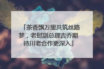 茶香飘万里共筑丝路梦，老挝副总理吉乔期待川老合作更深入