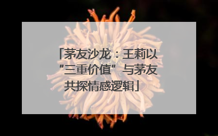 茅友沙龙：王莉以“三重价值”与茅友共探情感逻辑