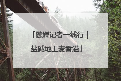 融媒记者一线行｜盐碱地上麦香溢