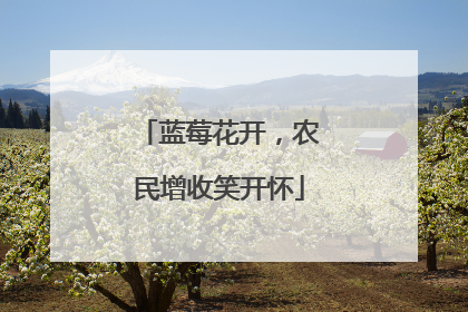 蓝莓花开，农民增收笑开怀