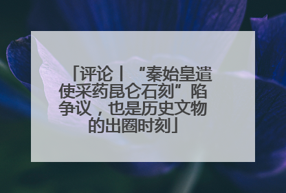 评论丨“秦始皇遣使采药昆仑石刻”陷争议，也是历史文物的出圈时刻