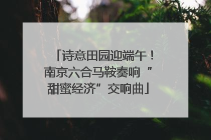诗意田园迎端午！南京六合马鞍奏响“甜蜜经济”交响曲