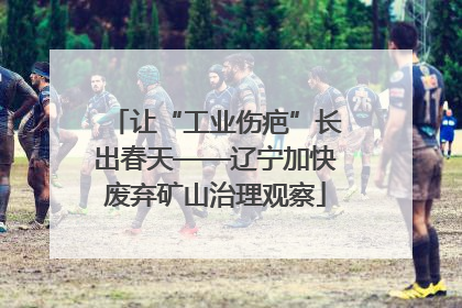 让“工业伤疤”长出春天——辽宁加快废弃矿山治理观察