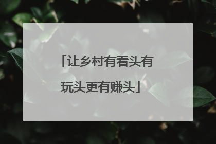 让乡村有看头有玩头更有赚头