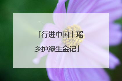 行进中国丨瑶乡护绿生金记