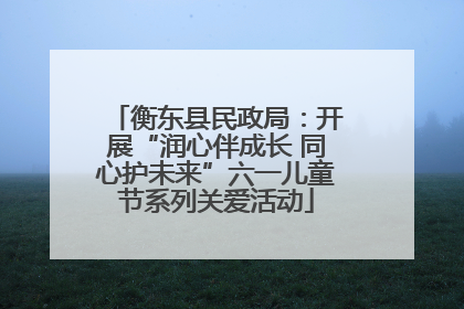 衡东县民政局：开展“润心伴成长 同心护未来”六一儿童节系列关爱活动