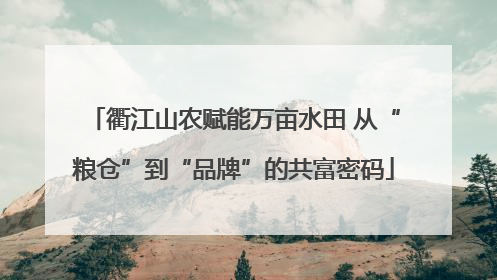 衢江山农赋能万亩水田 从“粮仓”到“品牌”的共富密码