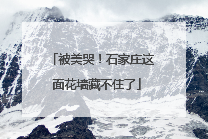 被美哭！石家庄这面花墙藏不住了